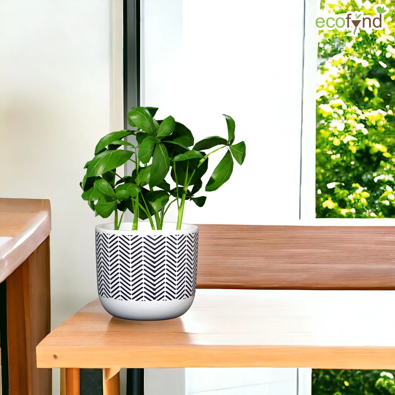 3 Pack Terracotta Pots for Plants - Image 7