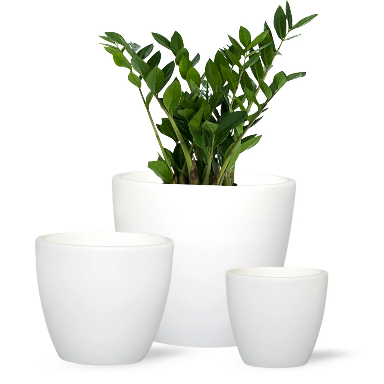 3 Pack Terracotta Pots for Plants