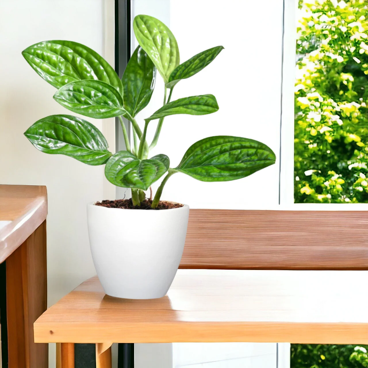 3 Pack Terracotta Pots for Plants - Image 7
