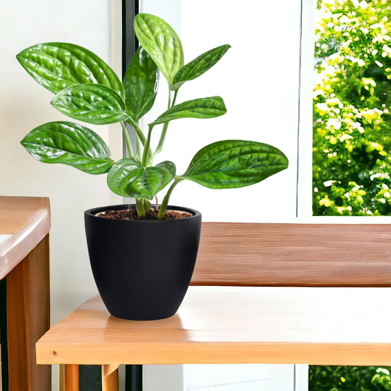 3 Pack Terracotta Pots for Plants - Image 7