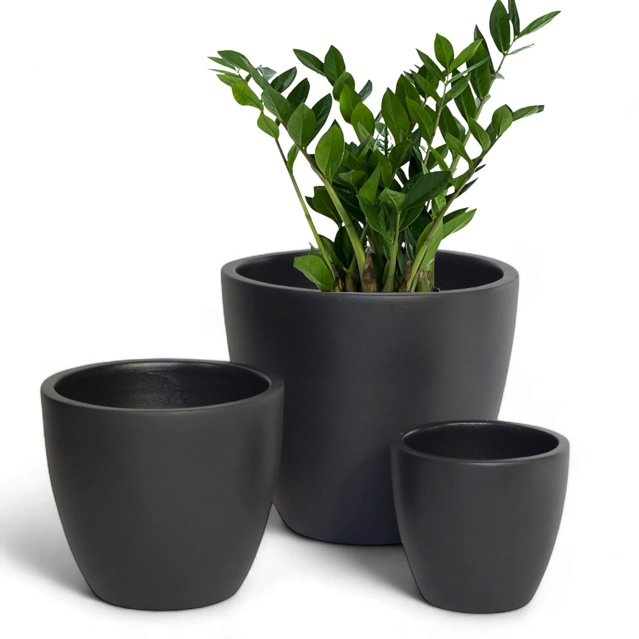 3 Pack Terracotta Pots for Plants