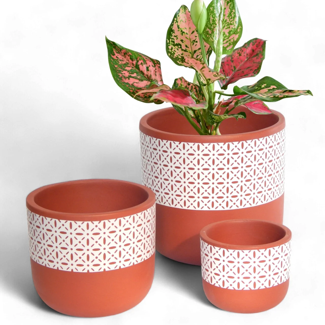 3 Pack Terracotta Pots for Plants