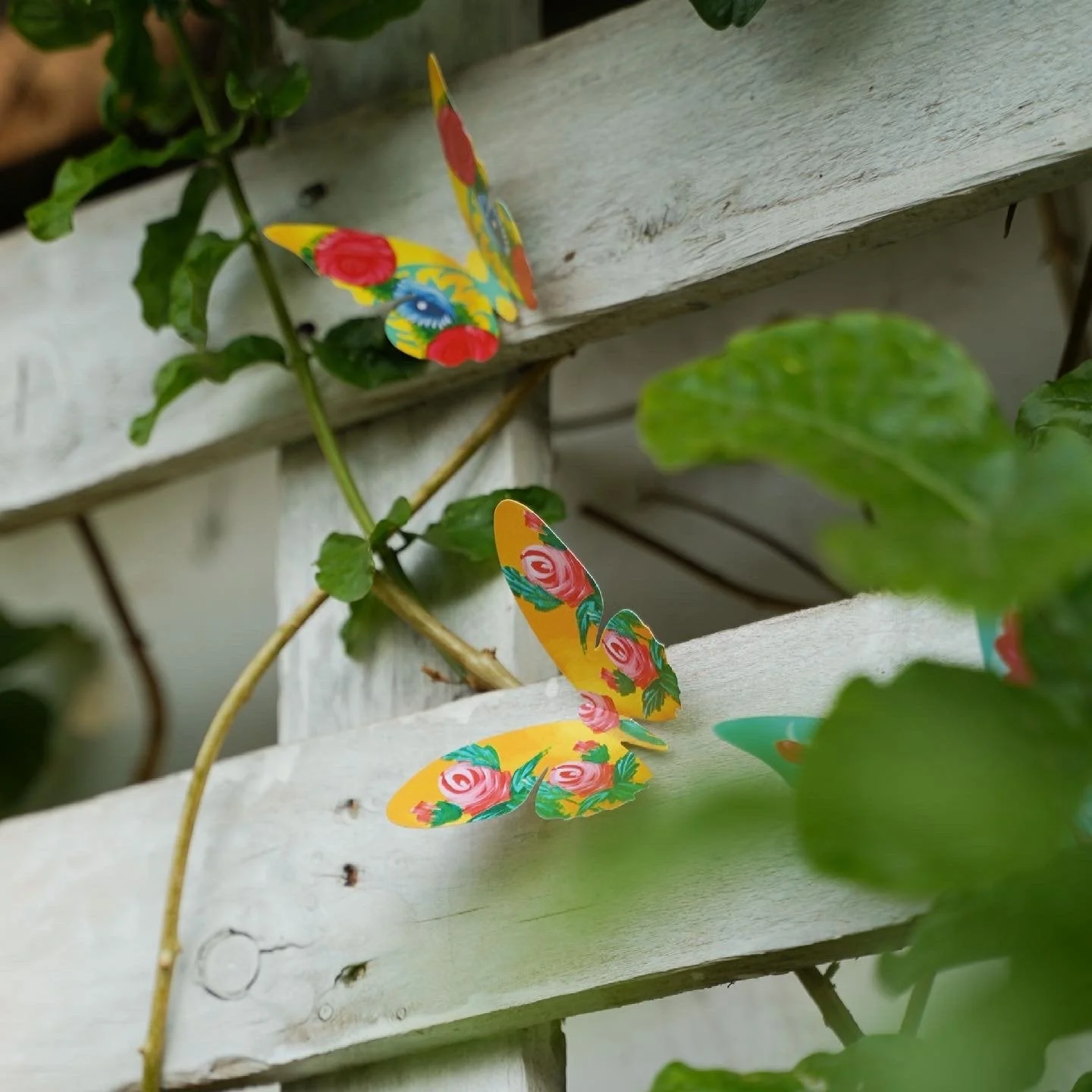 3 packs of 24 Decorative Paper Butterflies = 72 Butterflies - Image 18
