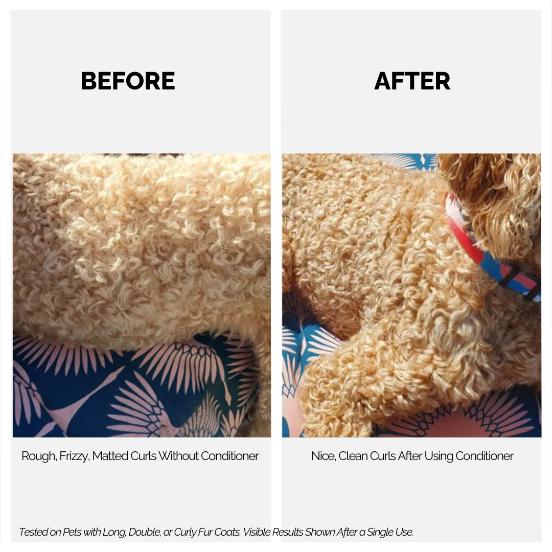 4 in 1 Conditioner for Dogs & Cats - Image 5