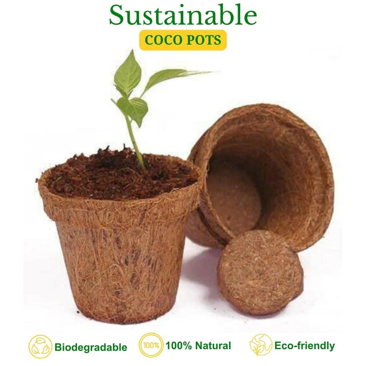 4 inches Coir Pots - Image 7