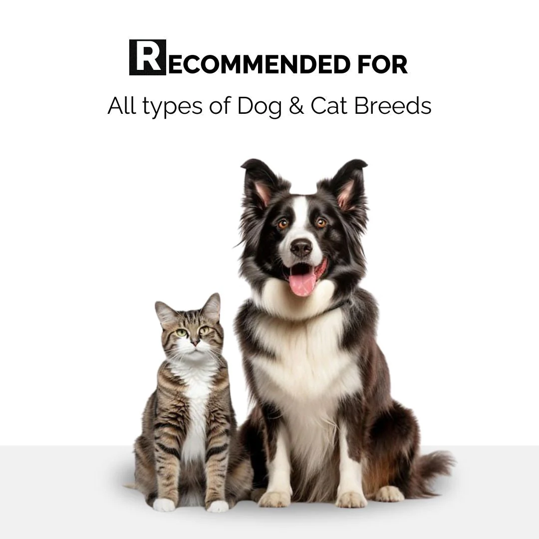6-Month Pet Grooming Kit - Image 5
