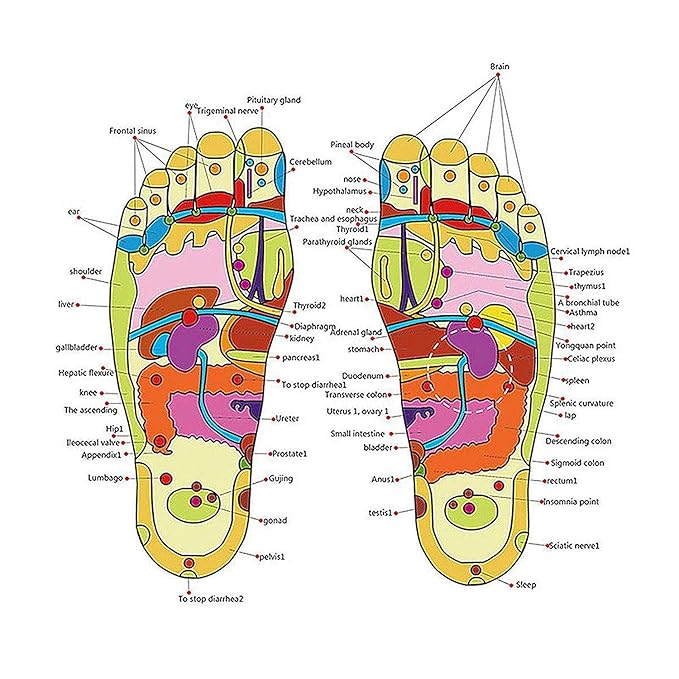 Acupressure Yoga Slippers | Yoga Paduka | Full Body Blood Circulation & Foot Massage - Image 6