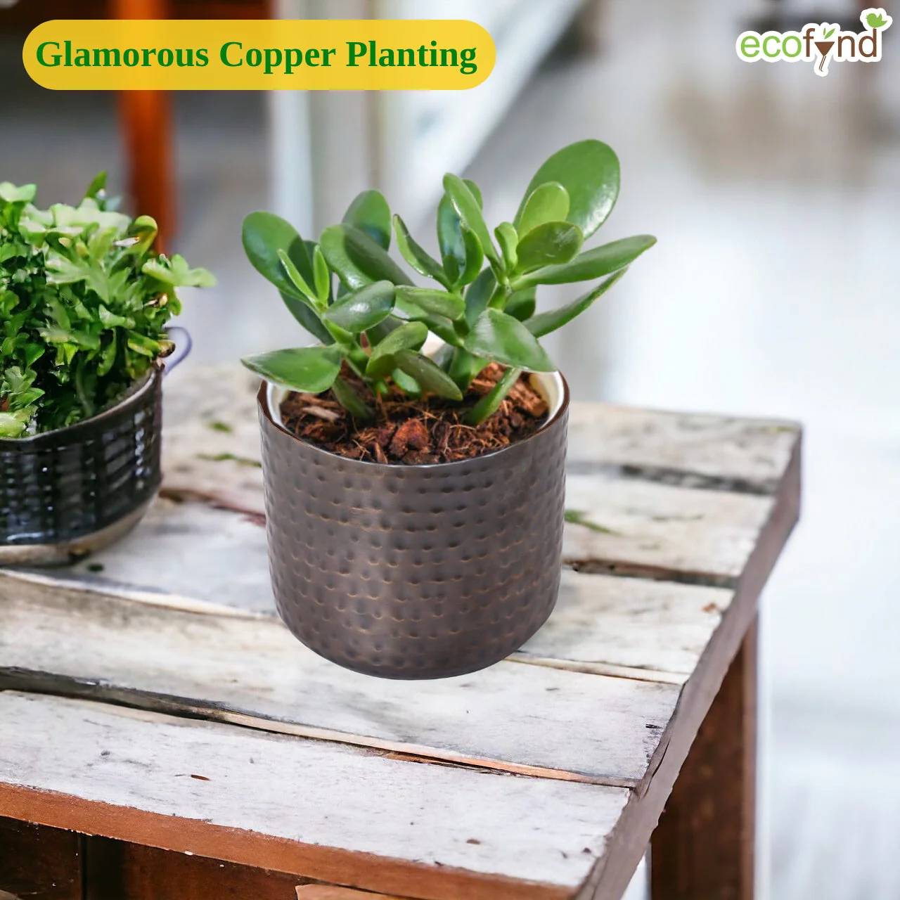 Adam Metal Plant Pot - Image 4