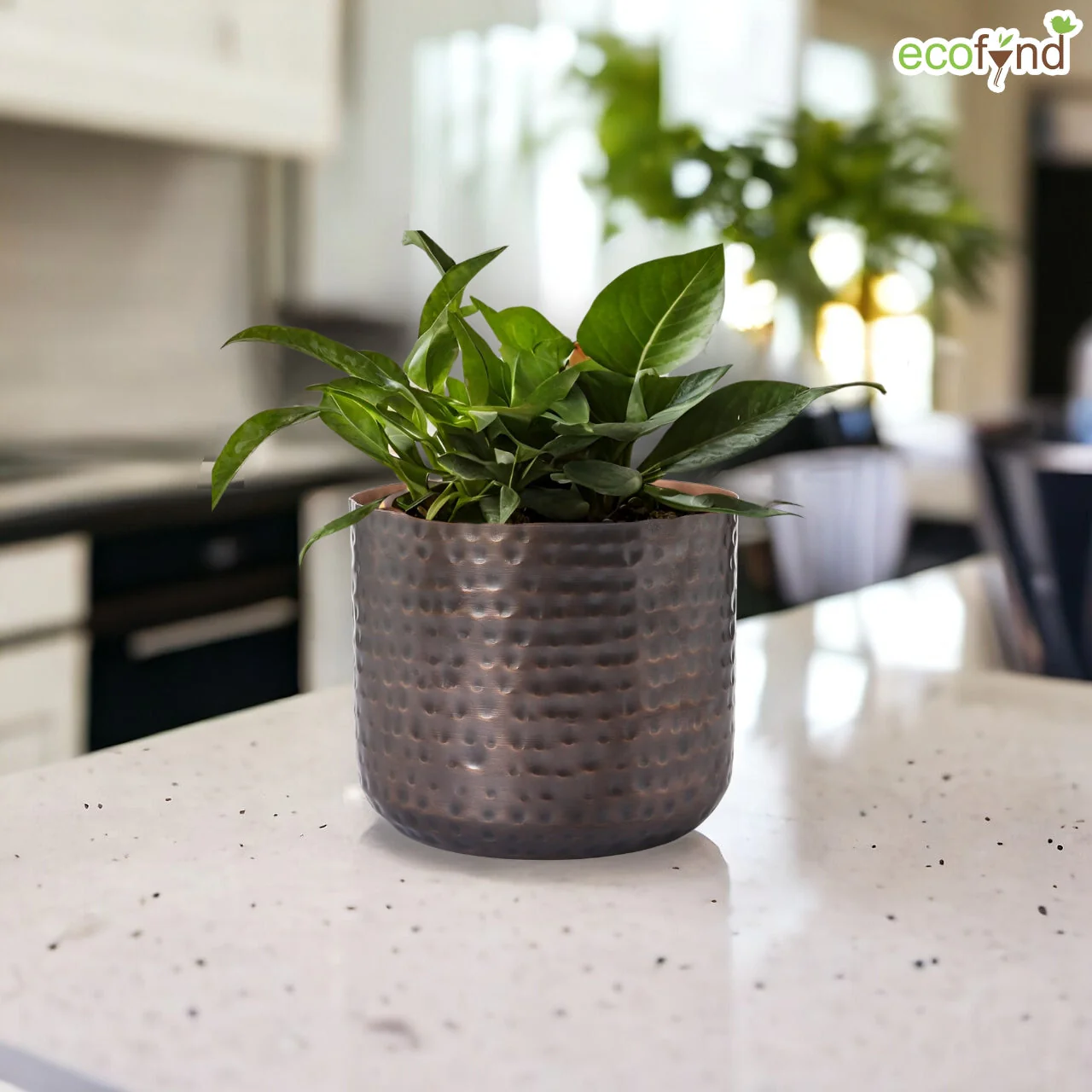 Adam Metal Plant Pot - Image 7