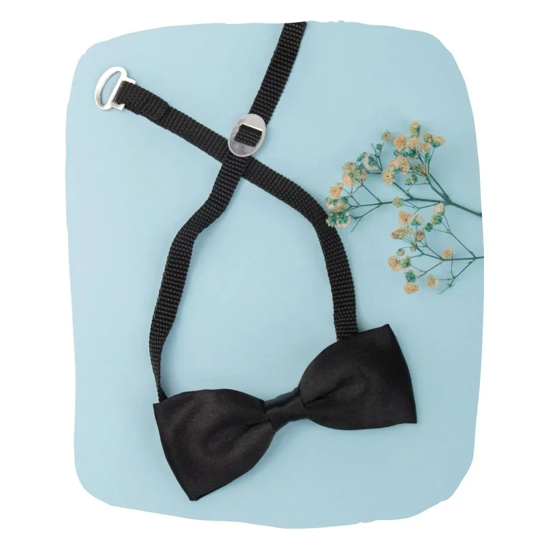 Adjustable Satin Bow Tie for Boys – Black (Pre-Tied & Clip-On) - Image 6