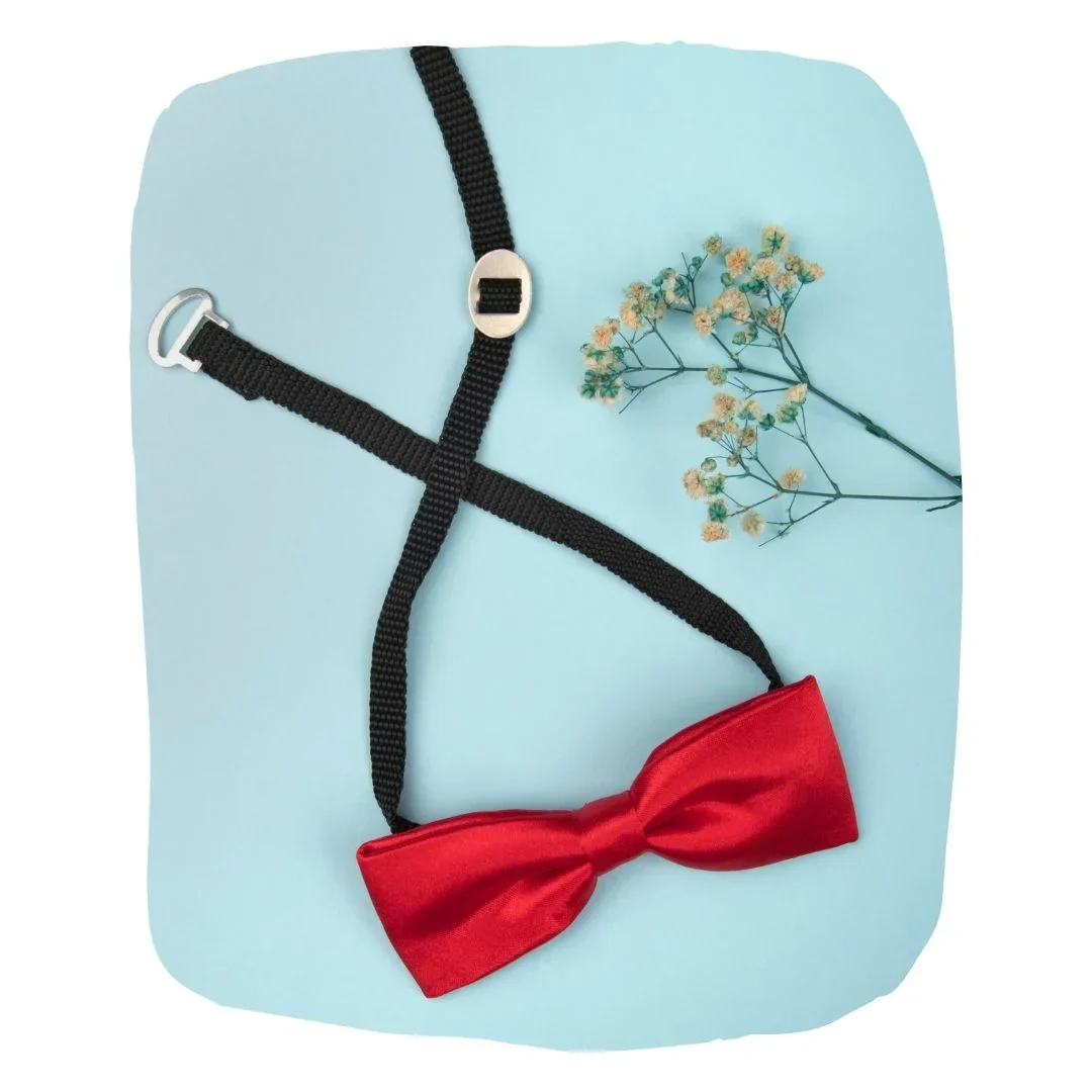 Adjustable Satin Bow Tie for Boys – Red (Pre-Tied & Clip-On) - Image 8