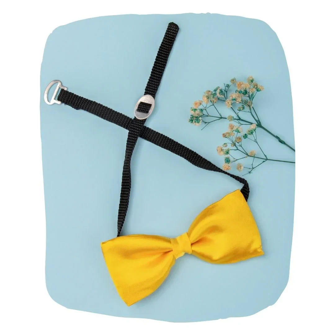 Adjustable Satin Bow Tie for Boys – Yellow (Pre-Tied & Clip-On)