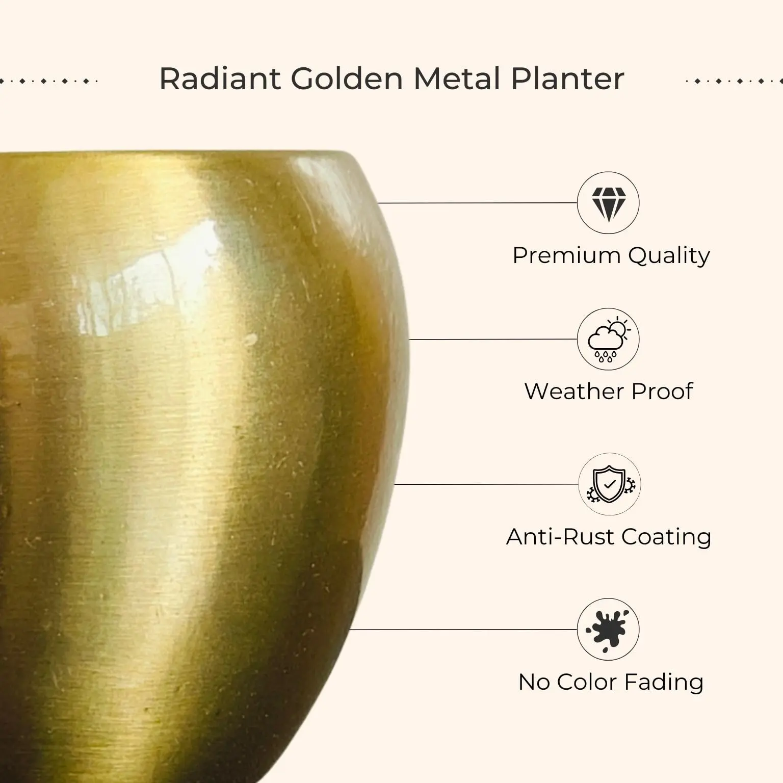 Air Purifying Plants Combo in Metal Pots (Small) - Image 4