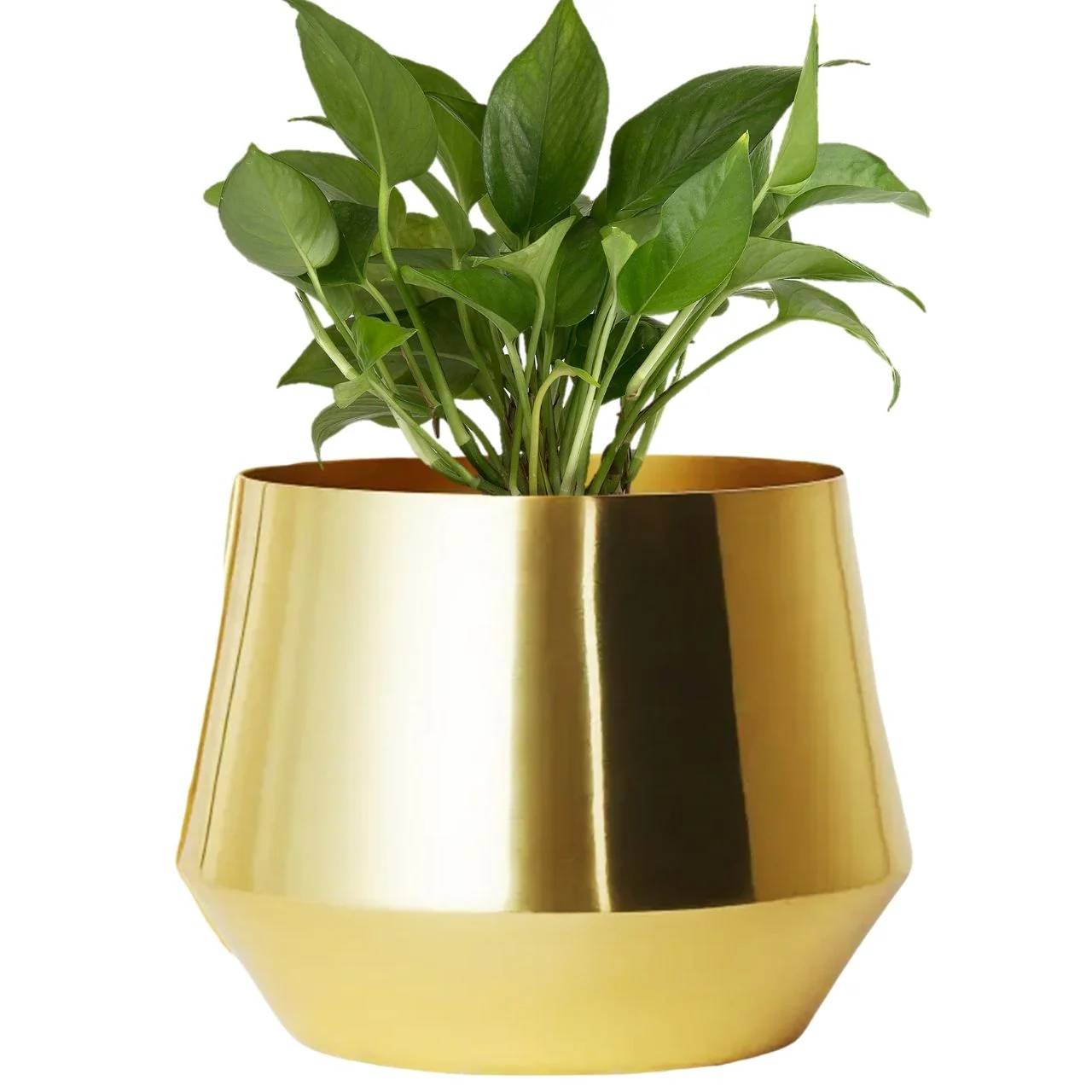 Alice JR Gold Metal Plant Pot