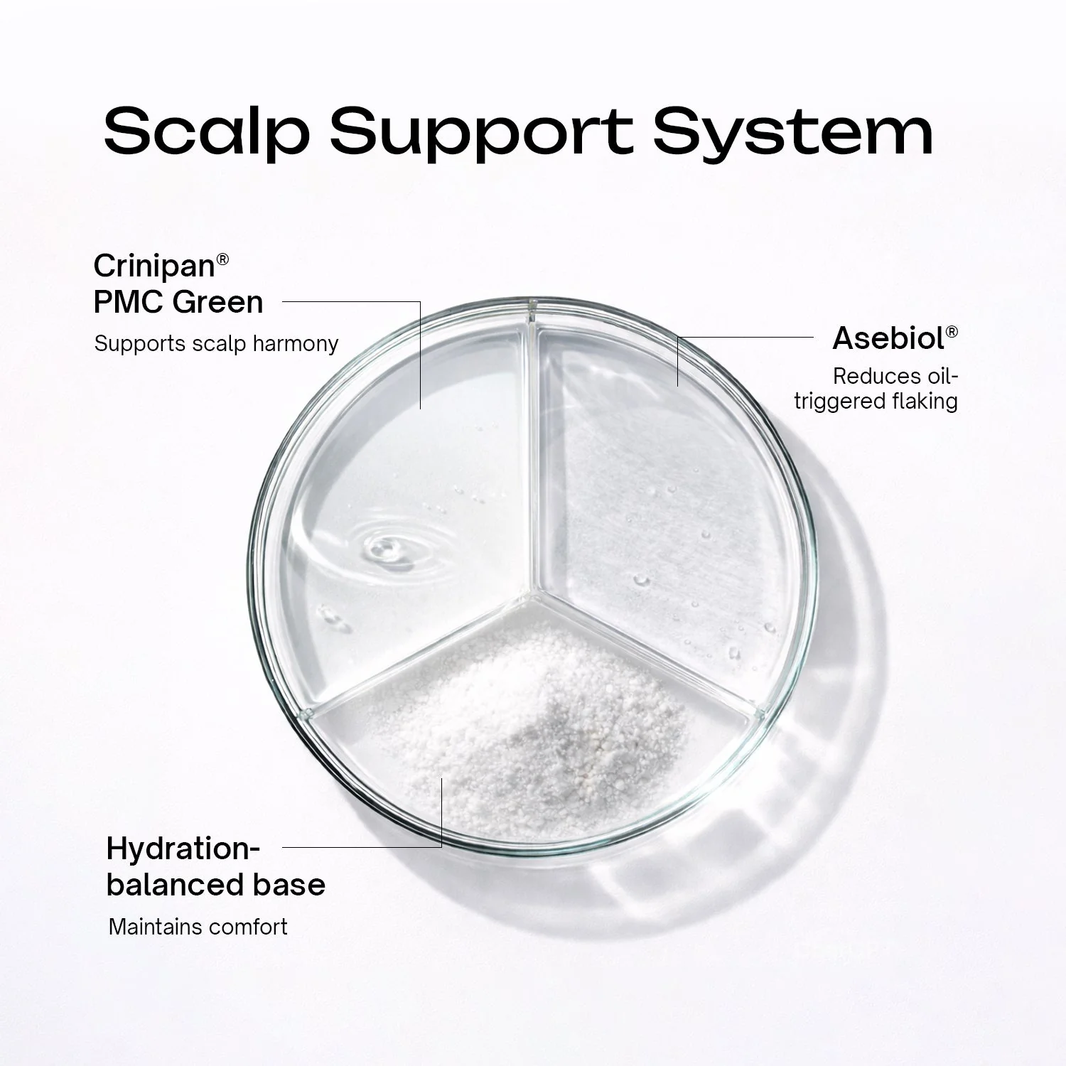 Anti-Dandruff Scalp Serum - Image 6