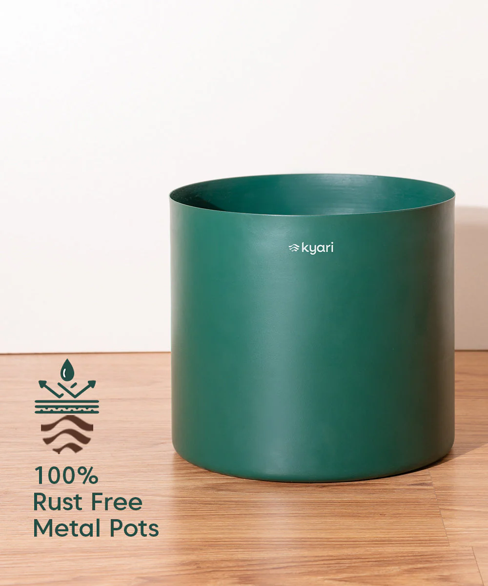 Areca Palm with Large Metal Self Watering Pot_ - Image 24