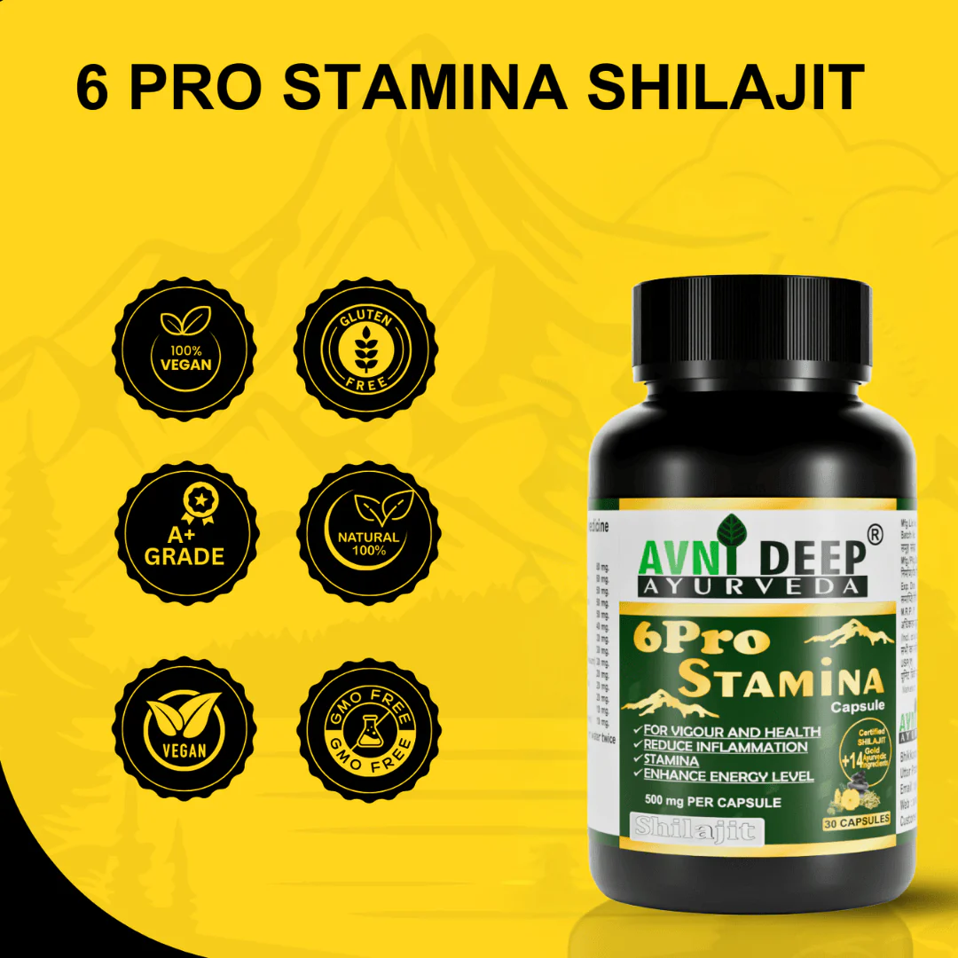 Avnideep Pure Shilajit Capsules – Ayurvedic Wellness Support | 30 Capsules - Image 8