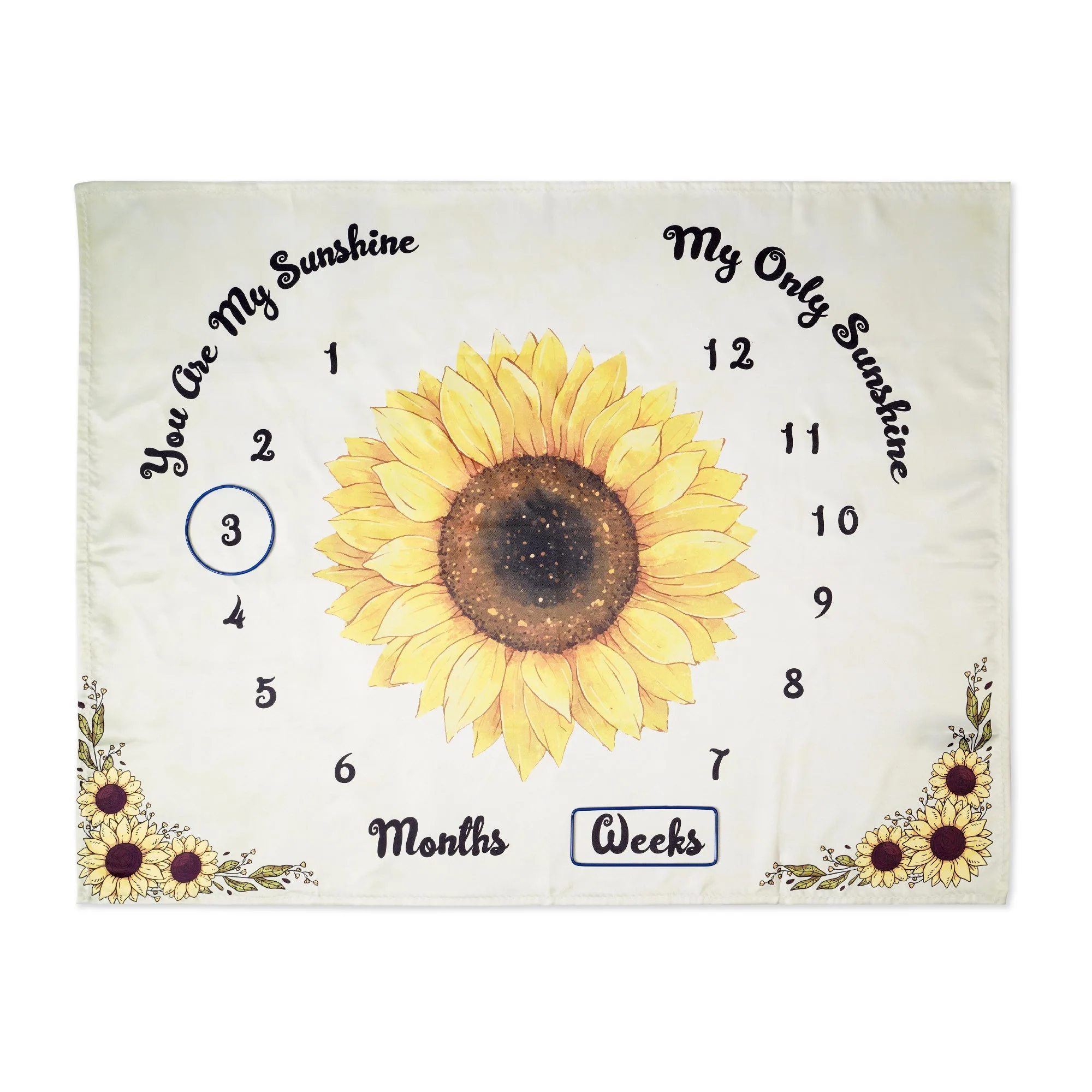 Baby Milestone Blanket