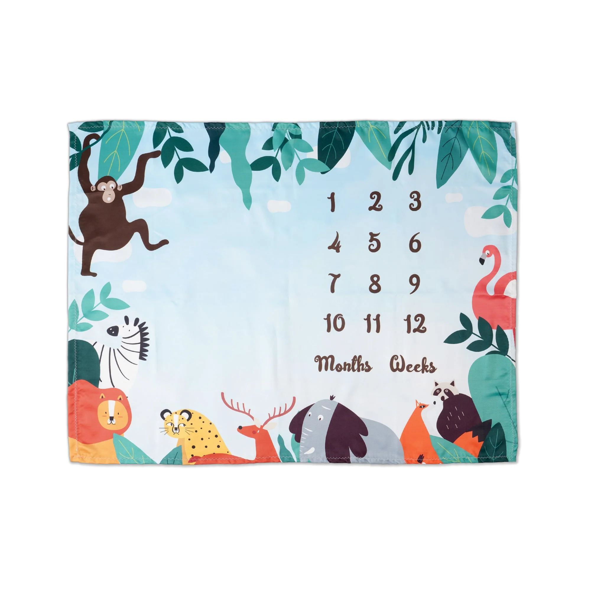 Baby Milestone Blanket - Image 5
