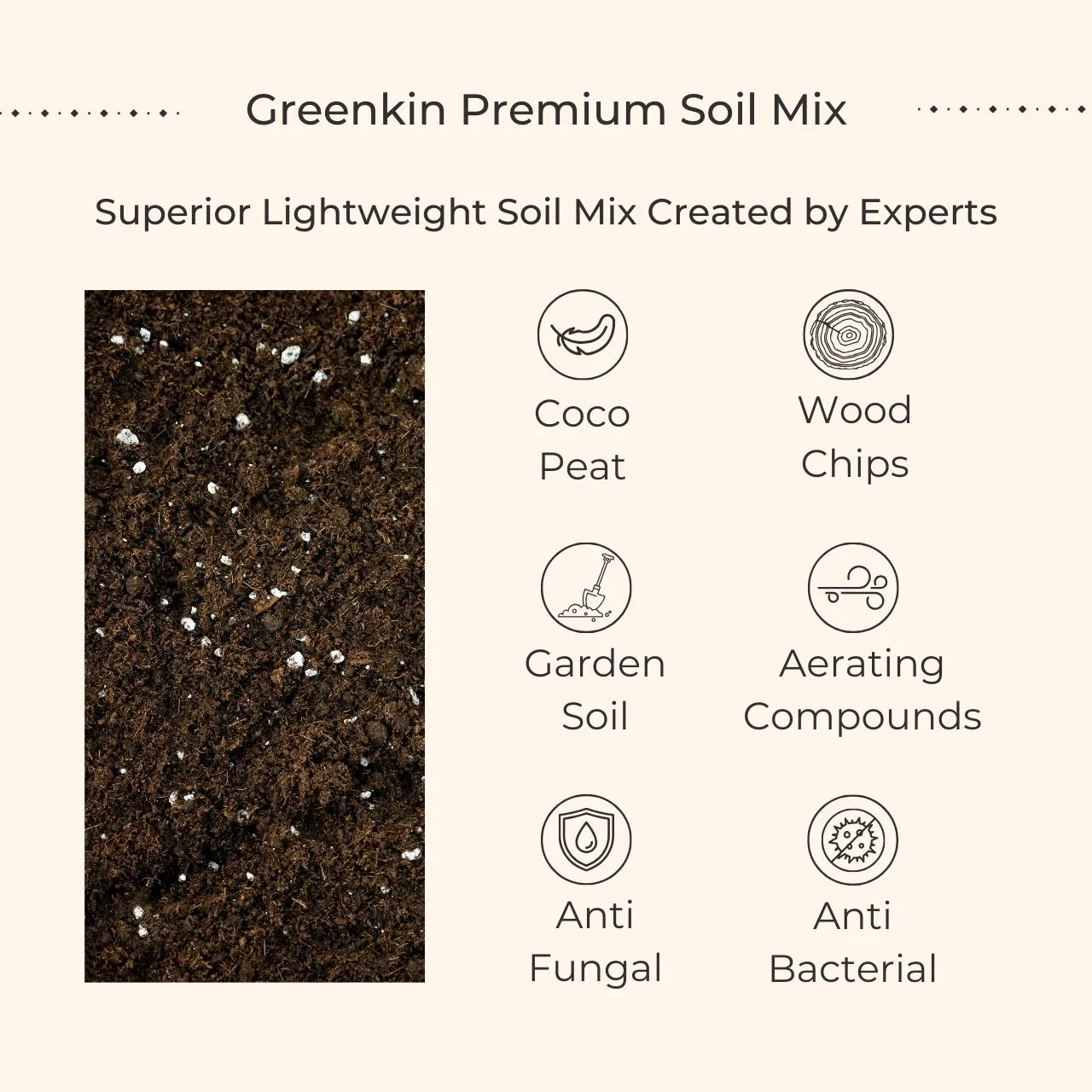 Bedroom Plants Combo for Better Sleep (Small) - Image 6
