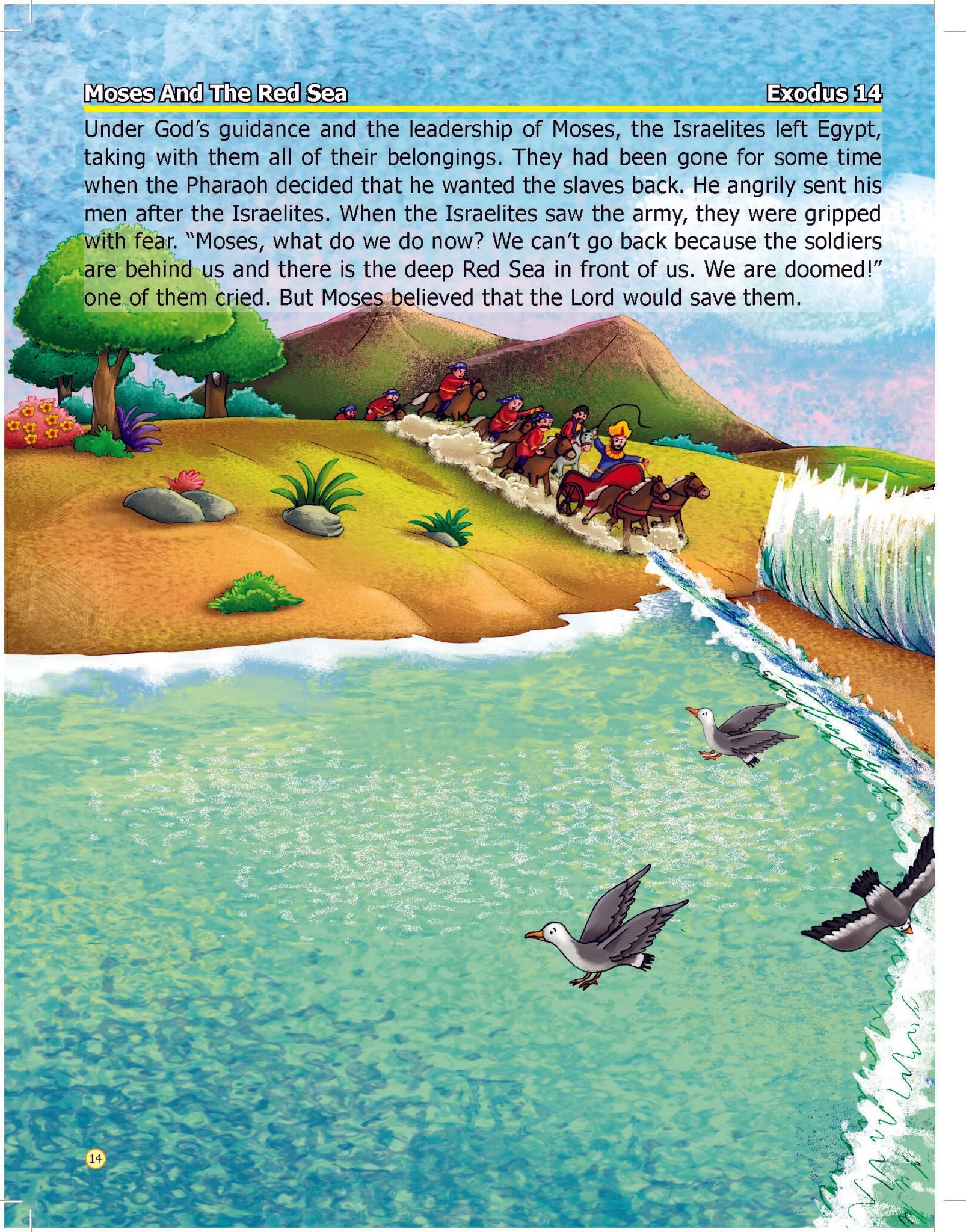 Bible - Pack (2 Titles) - Image 2