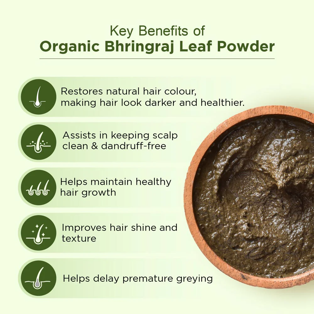 Bio Organic Bhringraj Powder - 100gm - Image 3