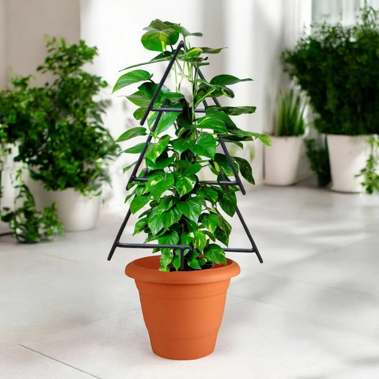 Black Metal Christmas Tree Trellis – Decorative Plant Support (19 Inch) - Image 5