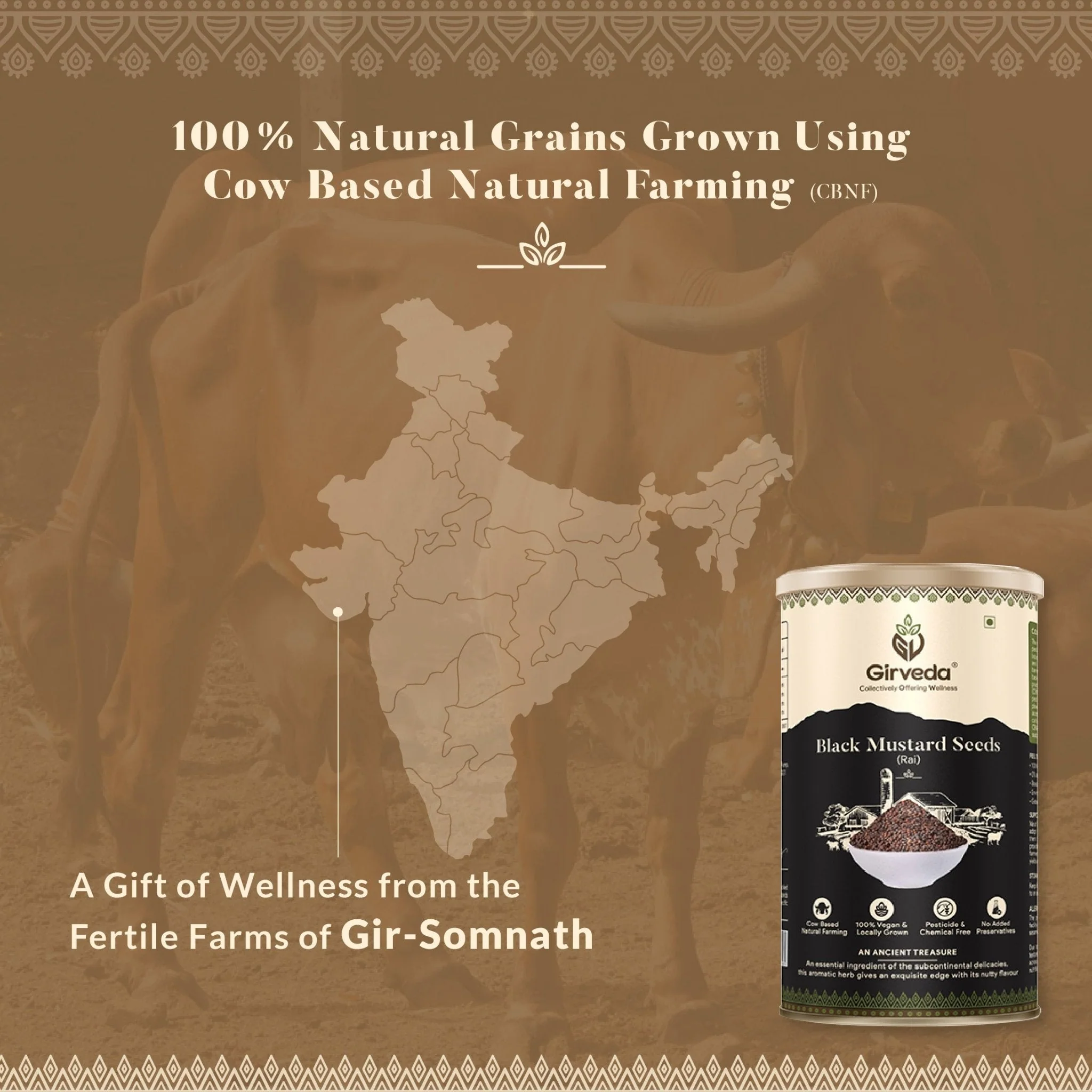 Black Mustard Seeds - Rai - Image 14