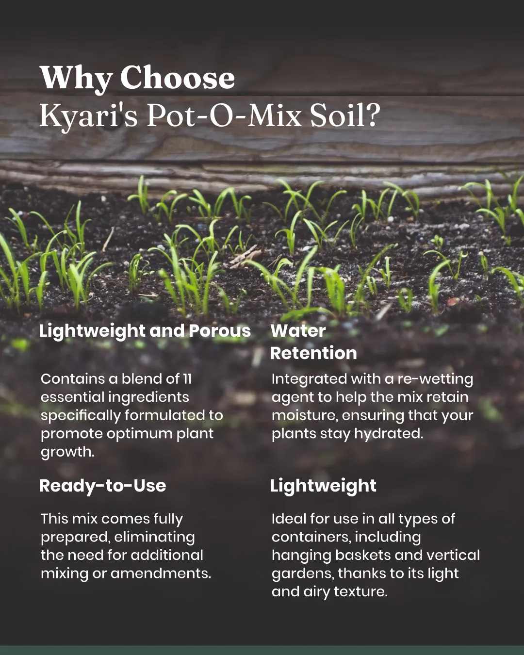 Bloom Mix Soil - Image 3