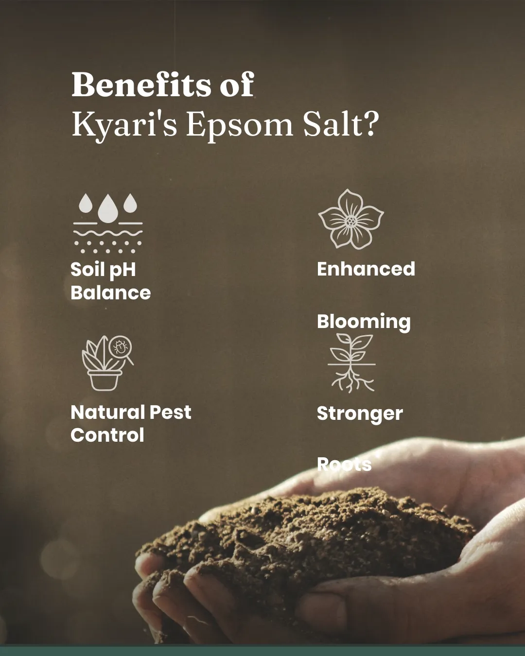 Bloom Mix Soil - Image 4