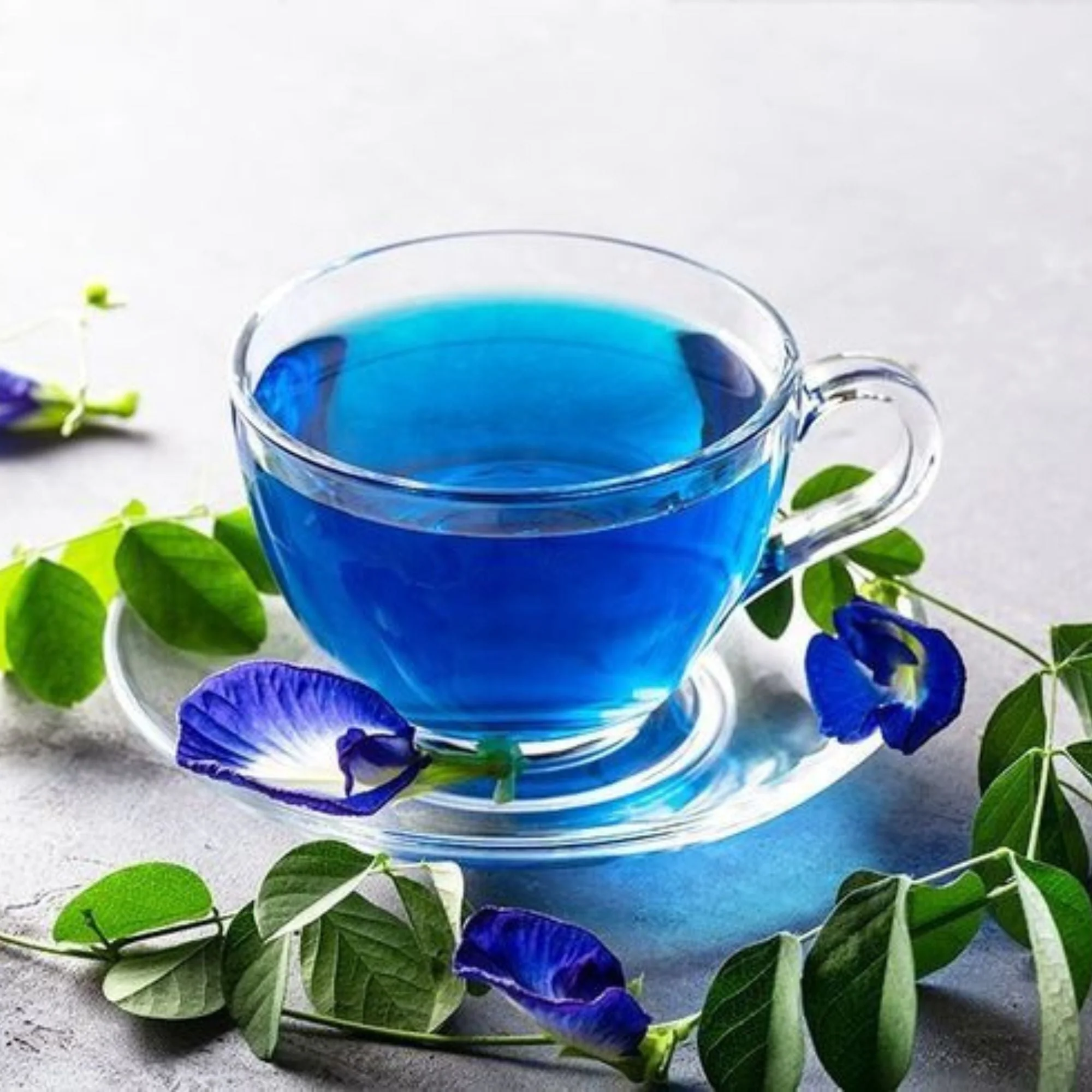 Blue Pea Tea - Teabags - Image 3