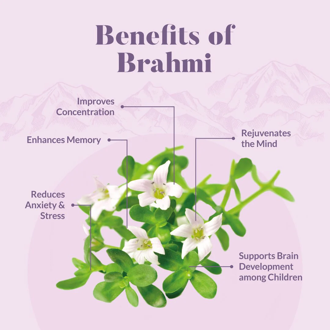 Brahmi Ghee 200Ml - Image 2