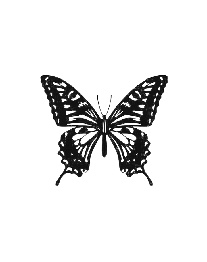 Butterfly whispers - Image 7