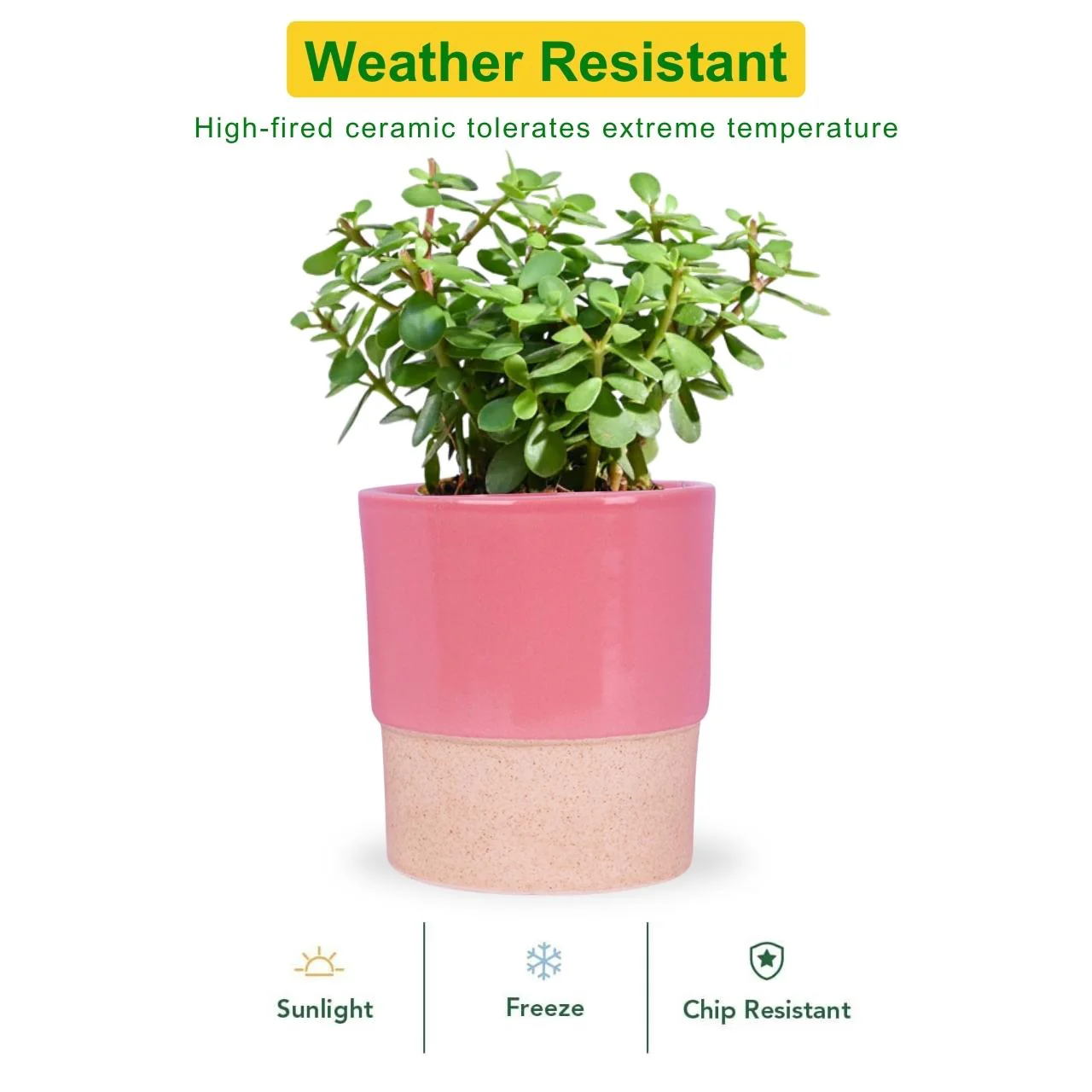 Ceramic Plant Pot - Image 3