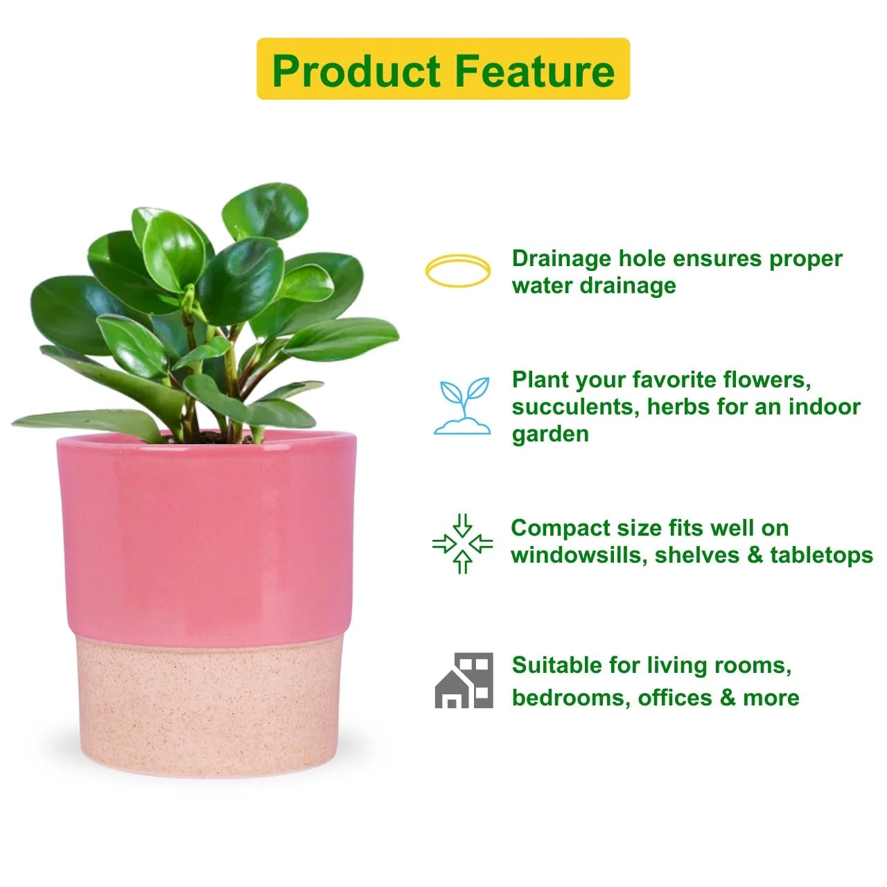Ceramic Plant Pot - Image 4