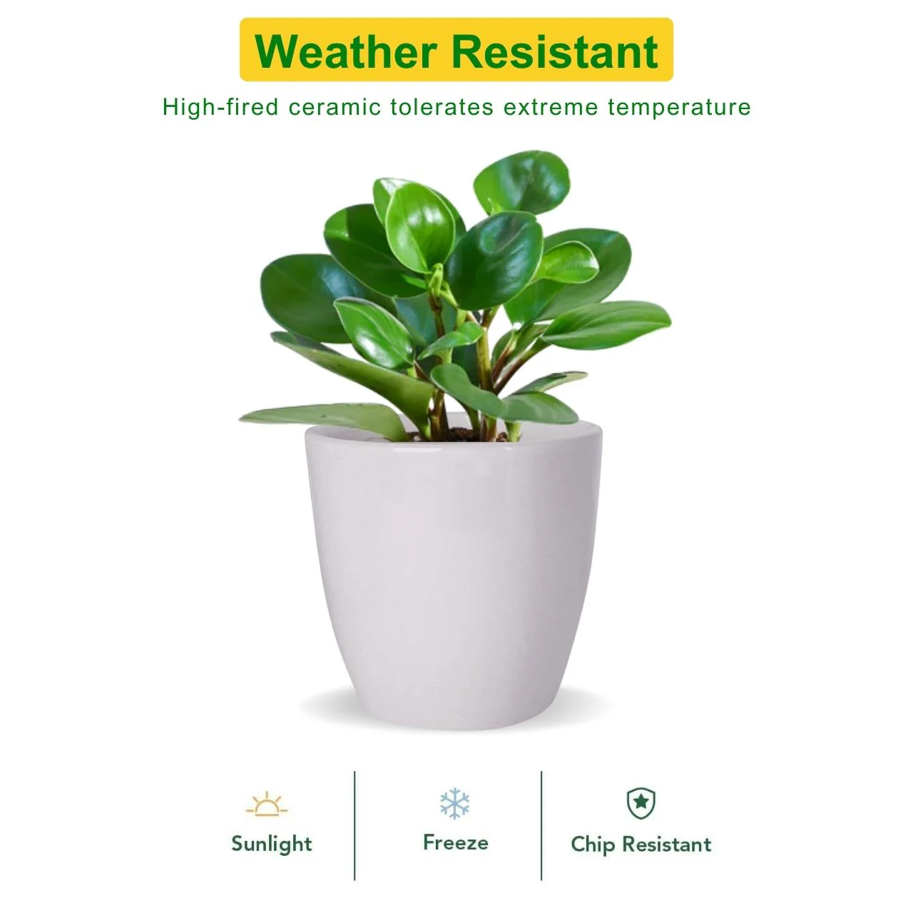 Ceramic Plant Pot - Image 3