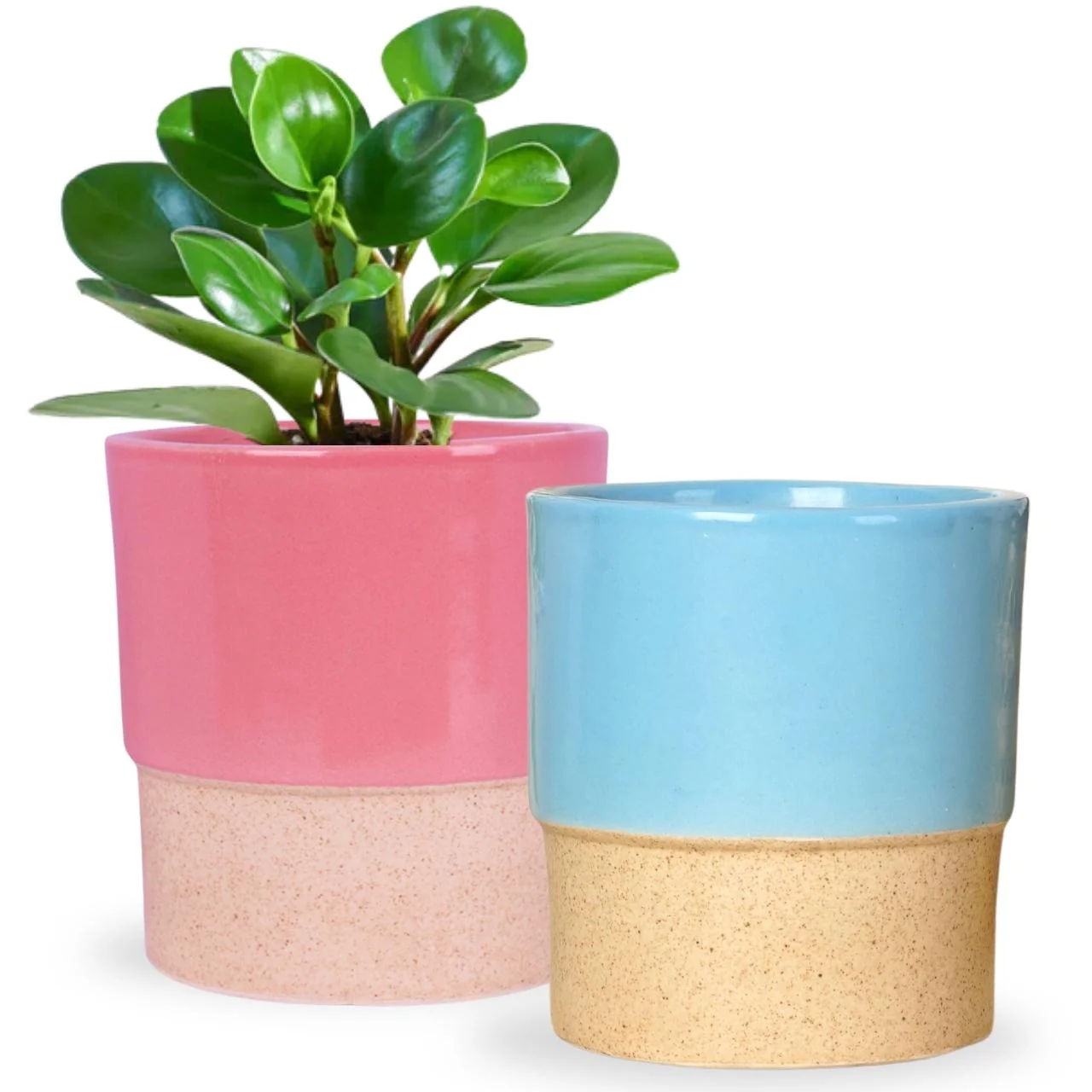 Ceramic Plant Pot - Image 2
