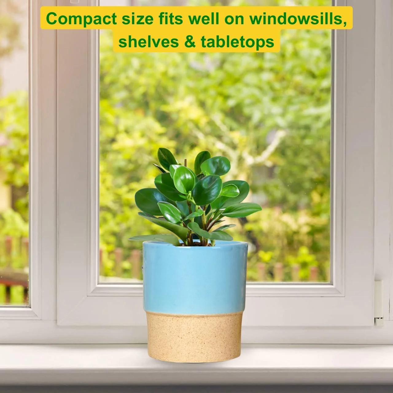 Ceramic Plant Pot - Image 6
