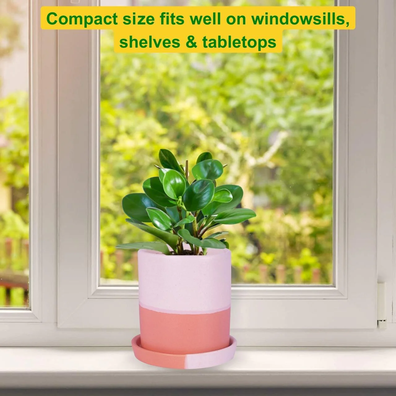 Ceramic Plant Pot - Image 5