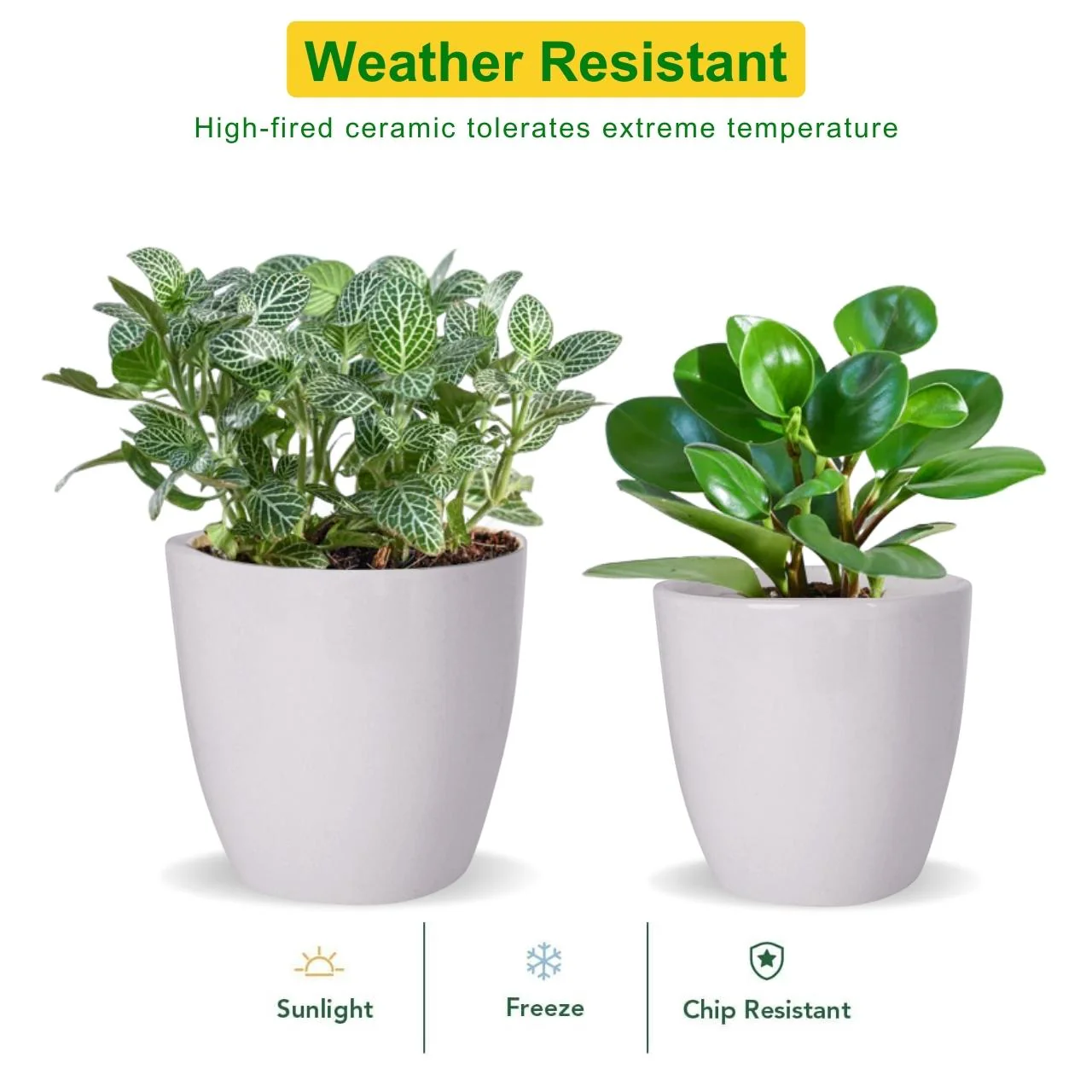 Ceramic Plant Pot - Image 4