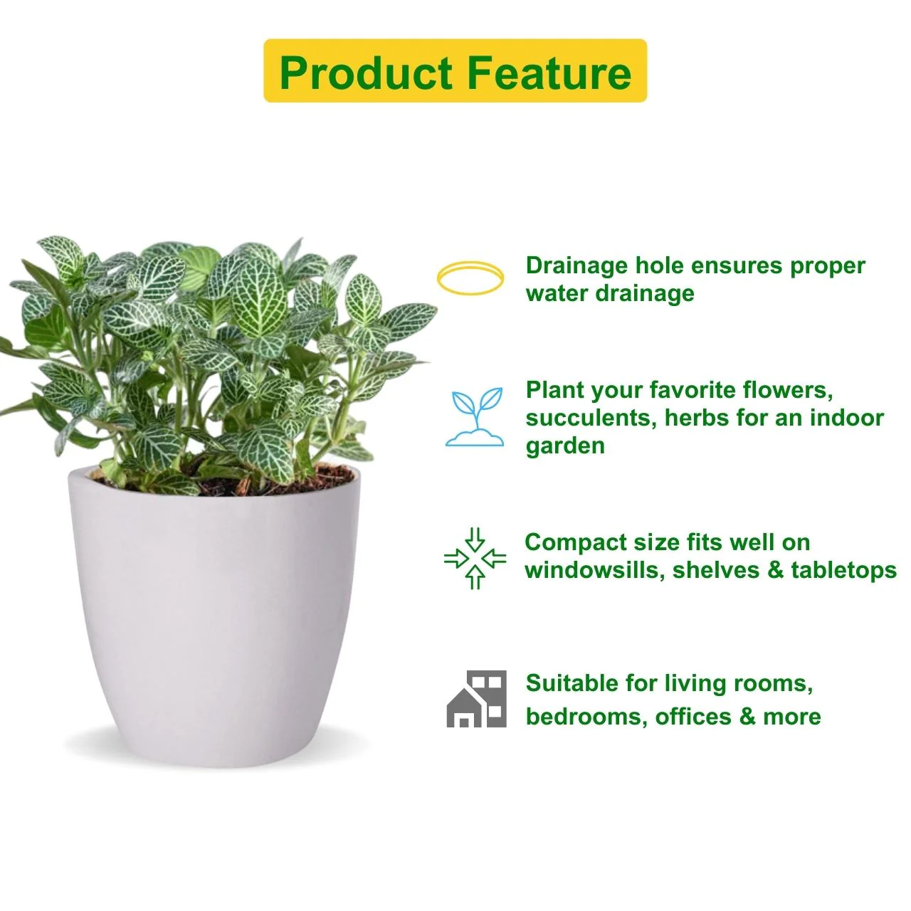 Ceramic Plant Pot - Image 5