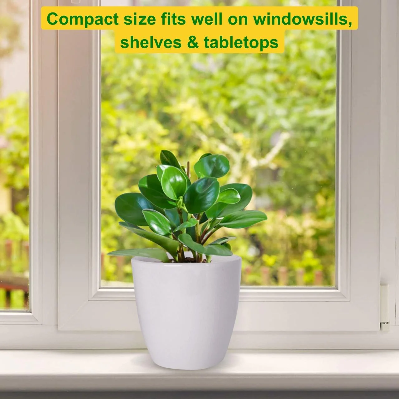 Ceramic Plant Pot - Image 6