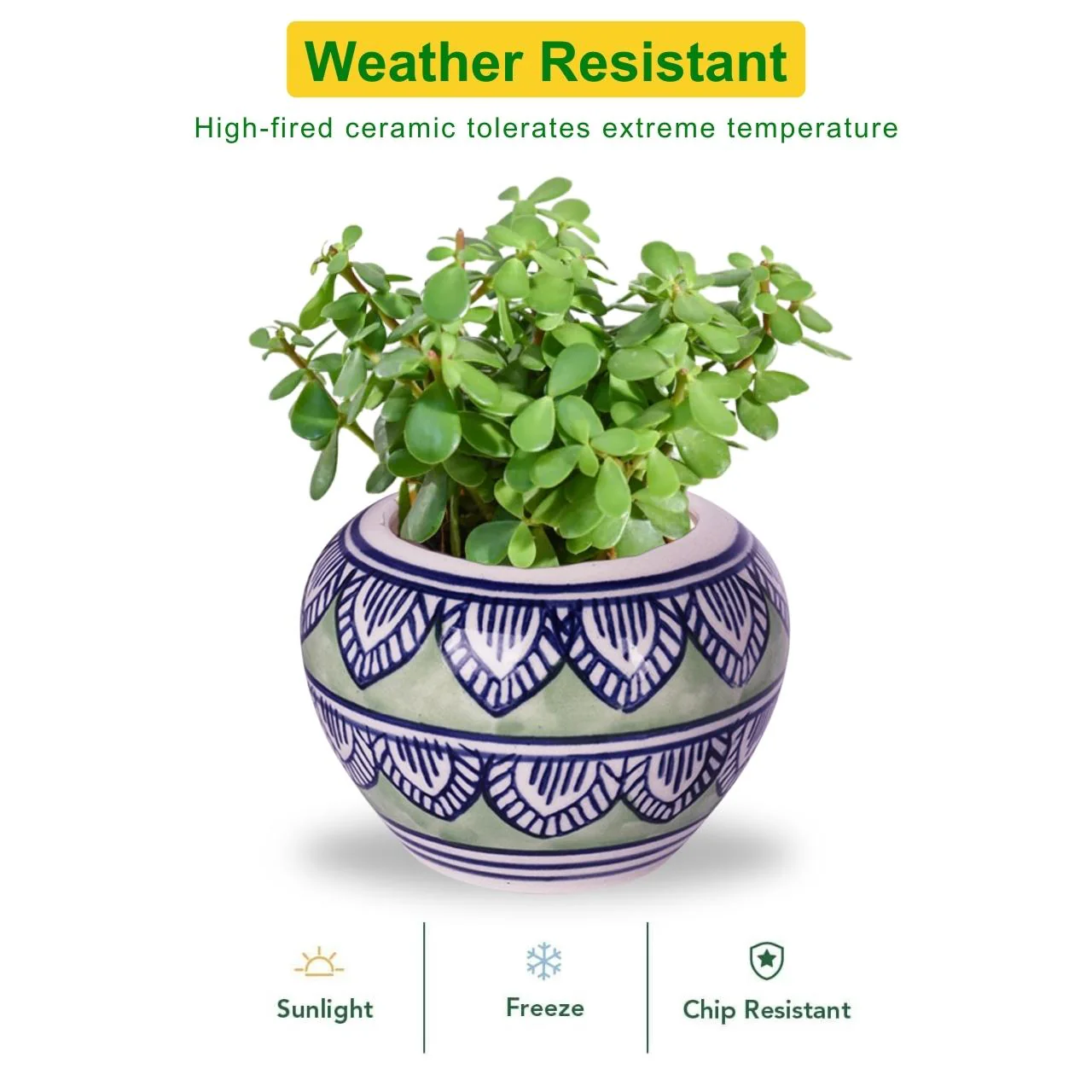 Ceramic Plant Pot - Image 3
