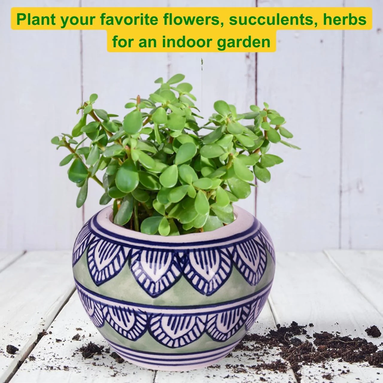 Ceramic Plant Pot - Image 5