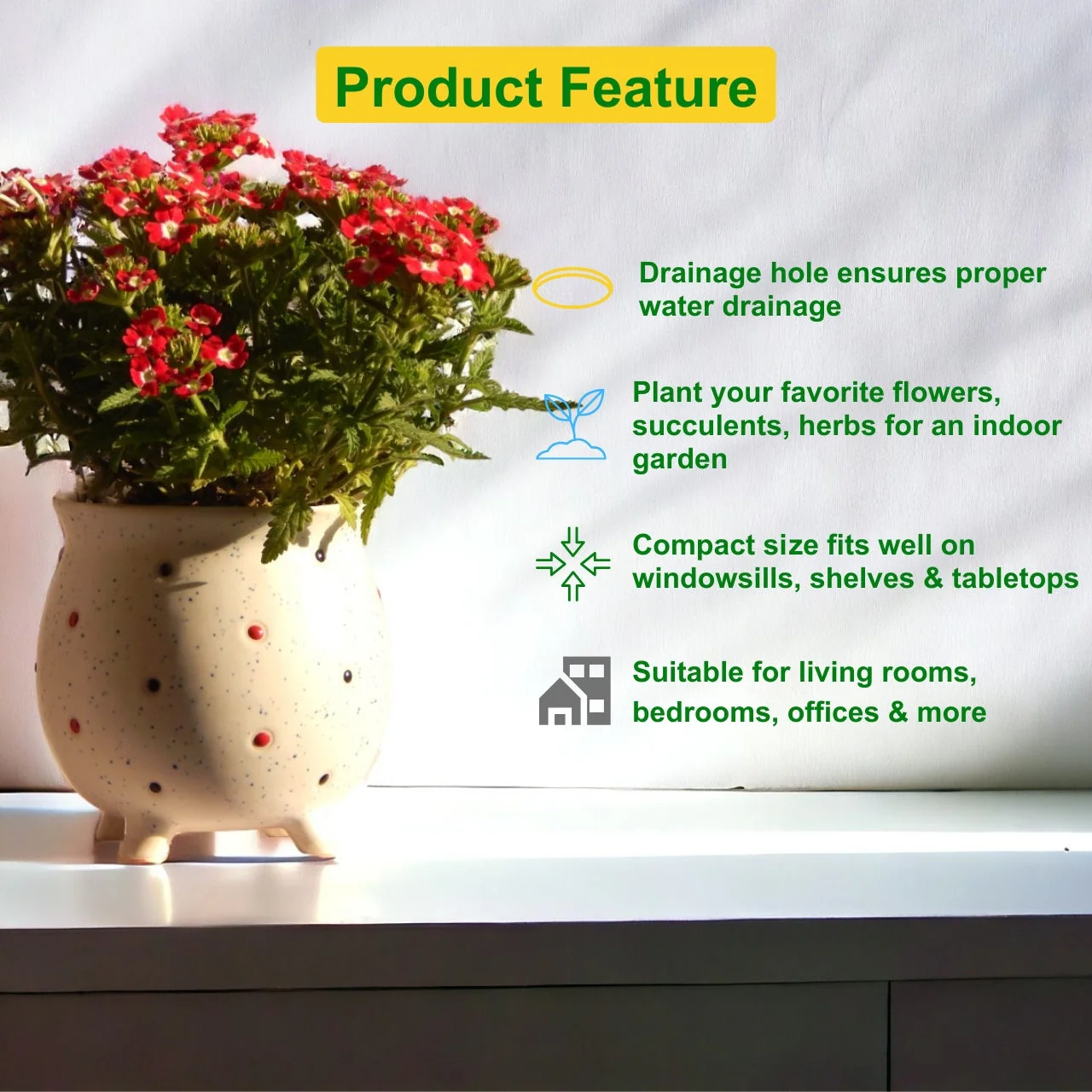 Ceramic Plant Pot - Image 4
