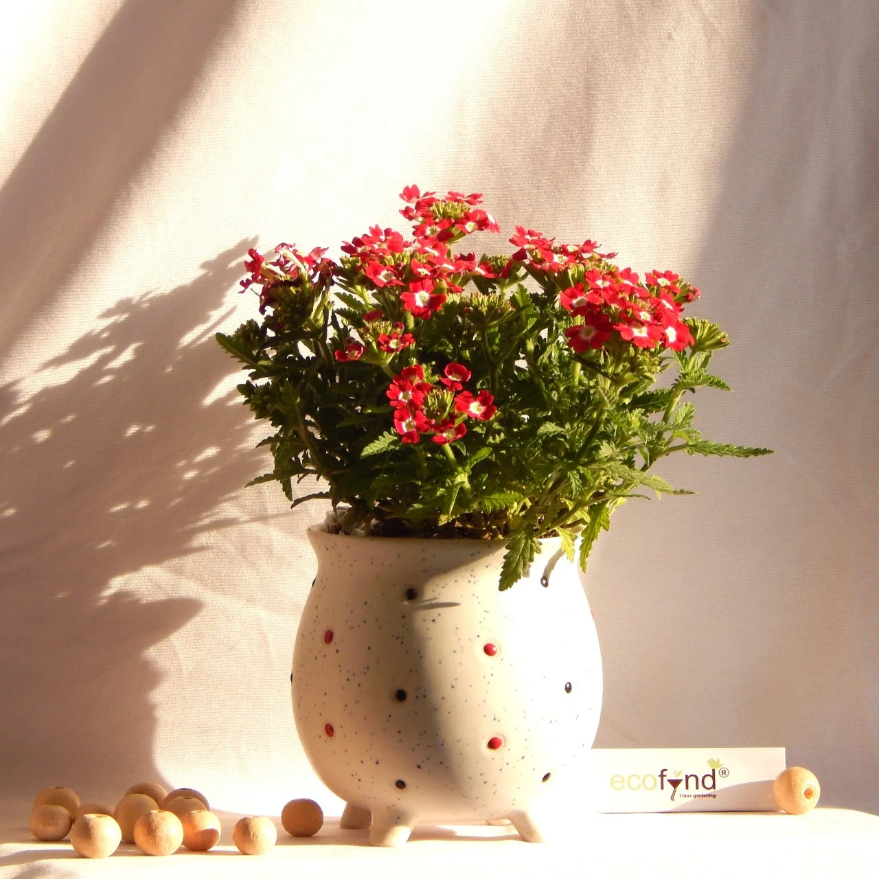 Ceramic Plant Pot - Image 5