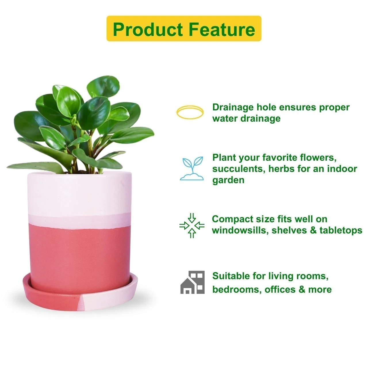 Ceramic Plant Pot - Image 4