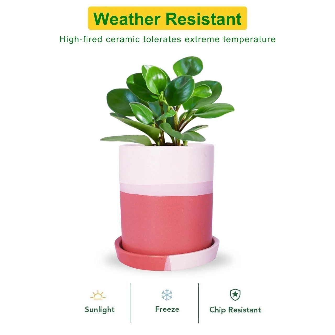 Ceramic Plant Pot - Image 3