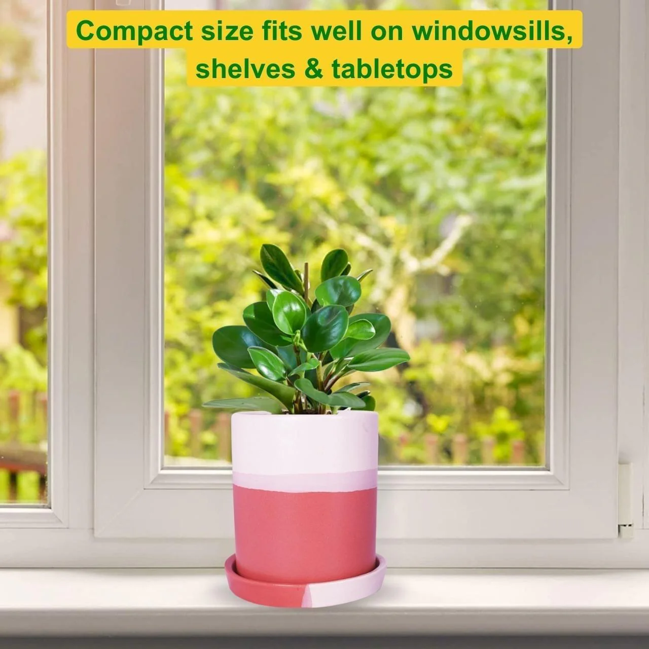 Ceramic Plant Pot - Image 5