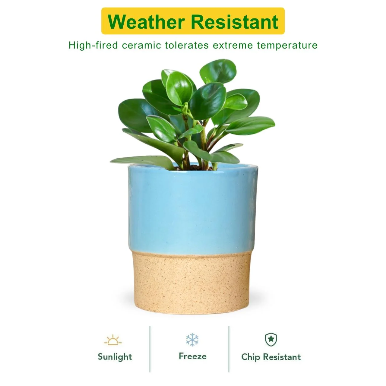 Ceramic Plant Pot - Image 3